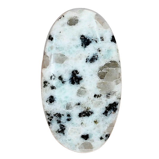 Sesame Jasper 32.11x17.9x5.6 mm Oval Gemstone LS02925-48