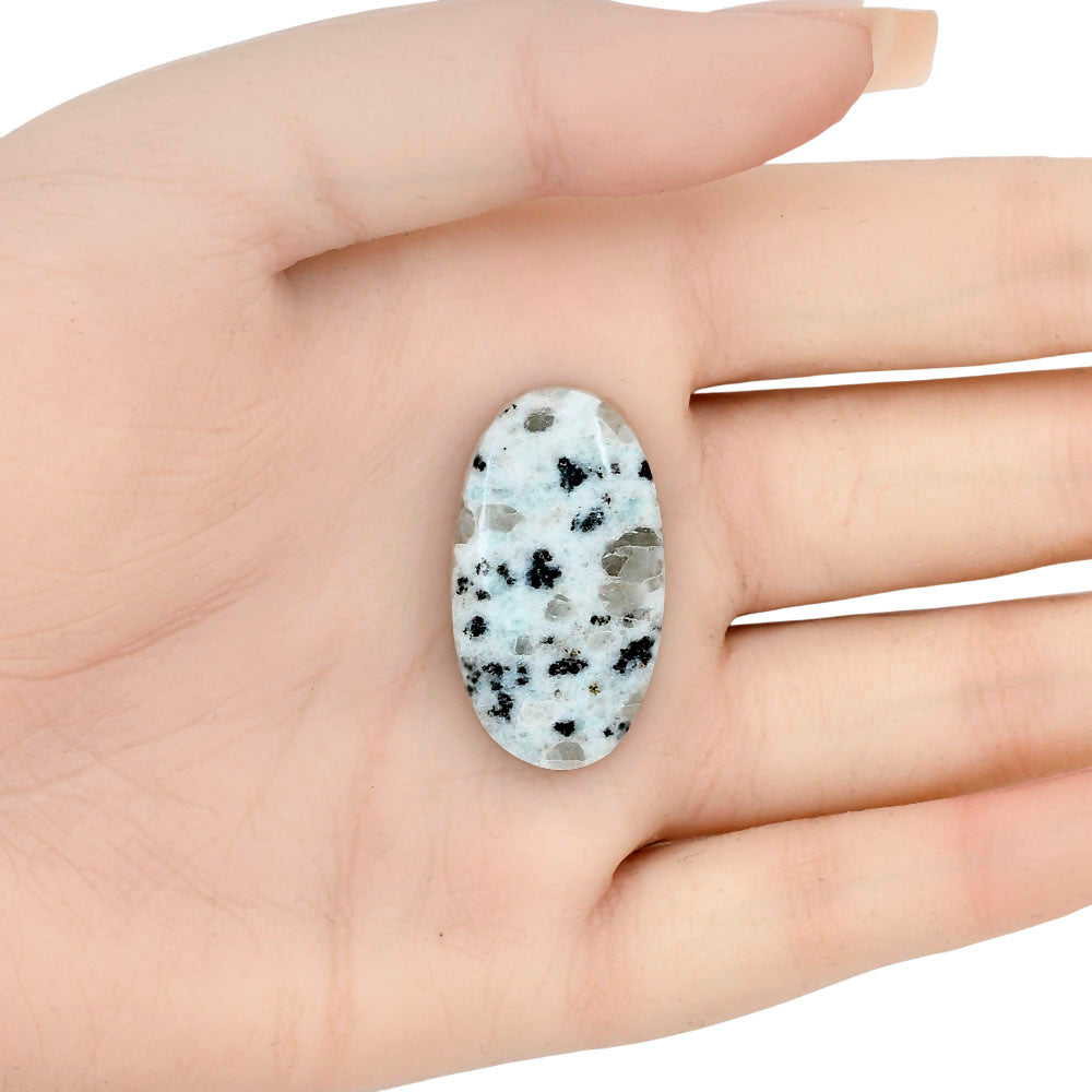Sesame Jasper 32.11x17.9x5.6 mm Oval Gemstone LS02925-48