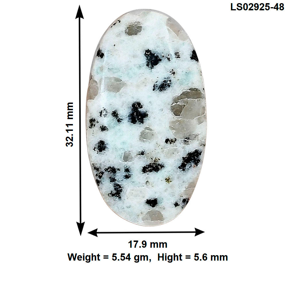 Sesame Jasper 32.11x17.9x5.6 mm Oval Gemstone LS02925-48
