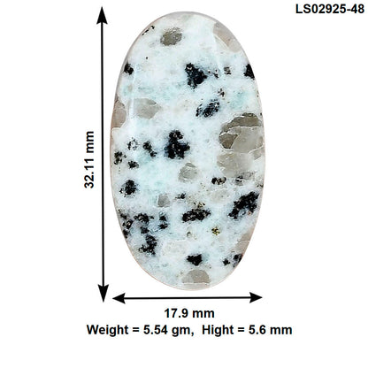 Sesame Jasper 32.11x17.9x5.6 mm Oval Gemstone LS02925-48