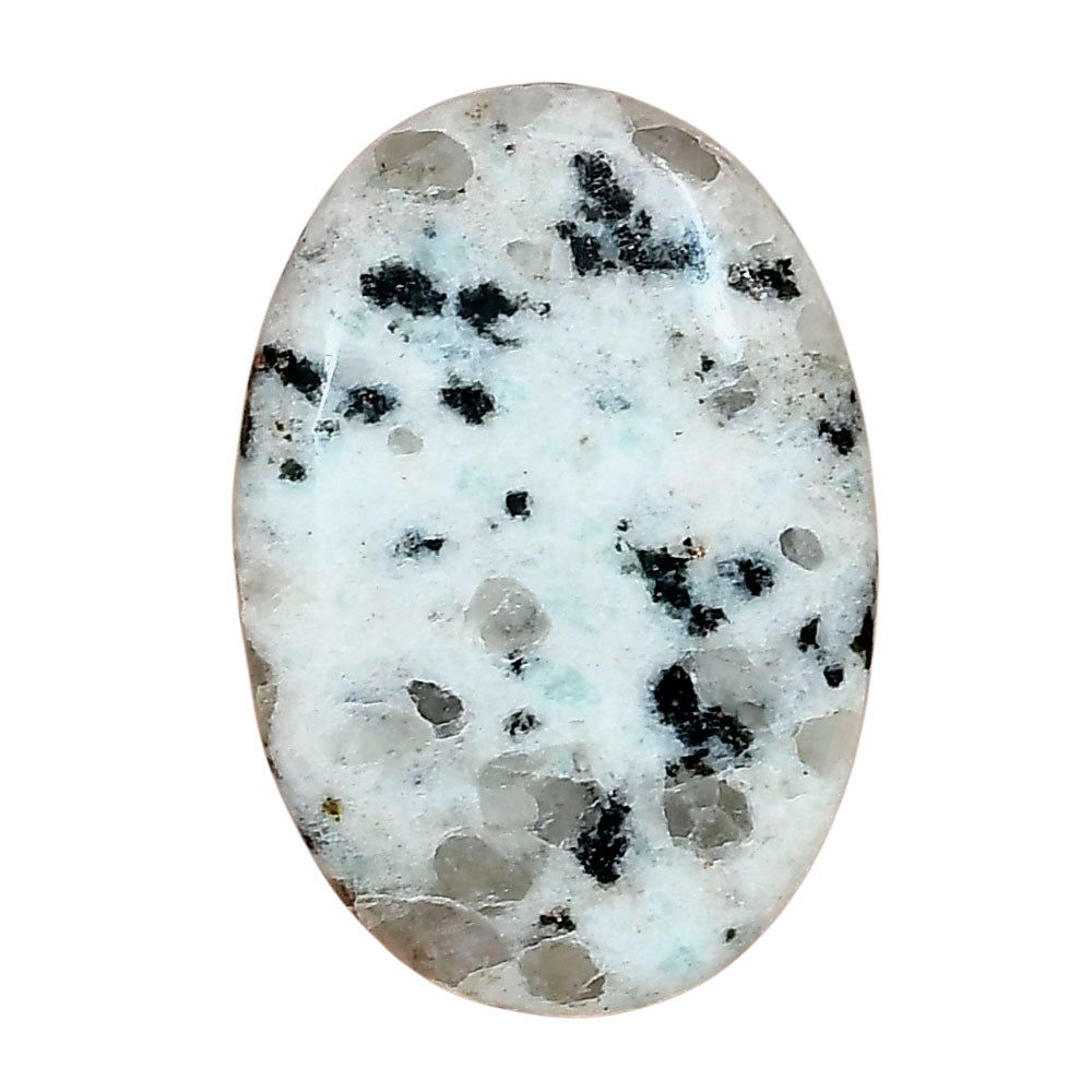 Sesame Jasper 32.34x22.34x5.25 mm Oval Gemstone LS02926-48
