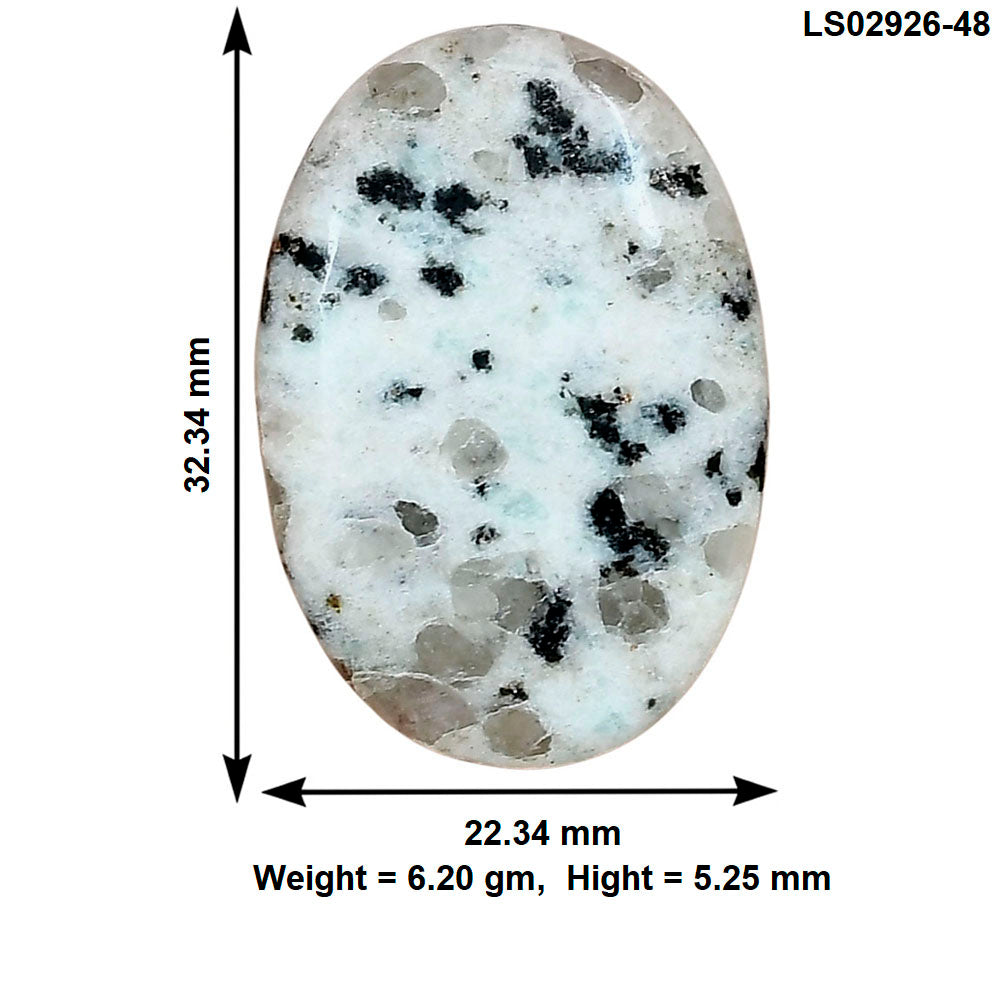 Sesame Jasper 32.34x22.34x5.25 mm Oval Gemstone LS02926-48