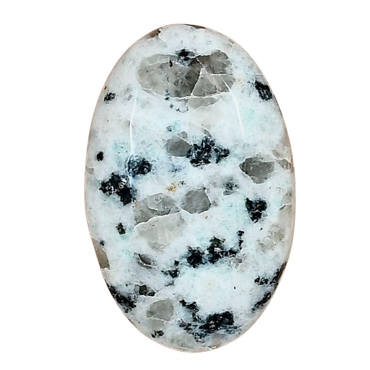 Sesame Jasper 29.32x18.77x6.8 mm Oval Gemstone LS02927-48