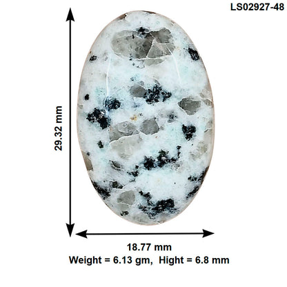 Sesame Jasper 29.32x18.77x6.8 mm Oval Gemstone LS02927-48