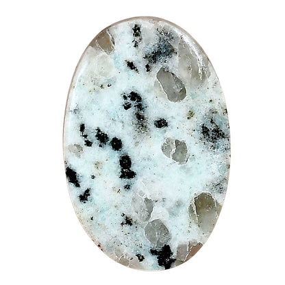 Sesame Jasper 31.81x20.96x4.3 mm Oval Gemstone LS02928-48