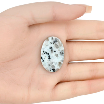 Sesame Jasper 31.81x20.96x4.3 mm Oval Gemstone LS02928-48