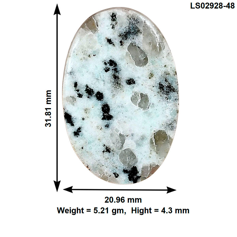 Sesame Jasper 31.81x20.96x4.3 mm Oval Gemstone LS02928-48