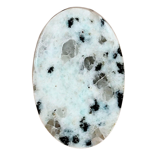 Sesame Jasper 30.75x20.8x4 mm Oval Gemstone LS02929-48