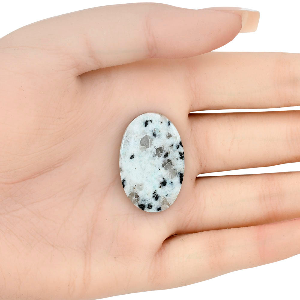 Sesame Jasper 30.75x20.8x4 mm Oval Gemstone LS02929-48