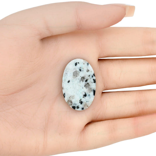 Sesame Jasper 30.75x20.8x4 mm Oval Gemstone LS02929-48