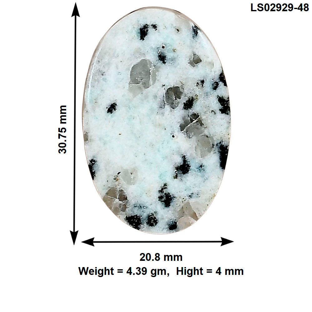 Sesame Jasper 30.75x20.8x4 mm Oval Gemstone LS02929-48