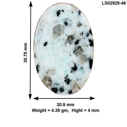 Sesame Jasper 30.75x20.8x4 mm Oval Gemstone LS02929-48