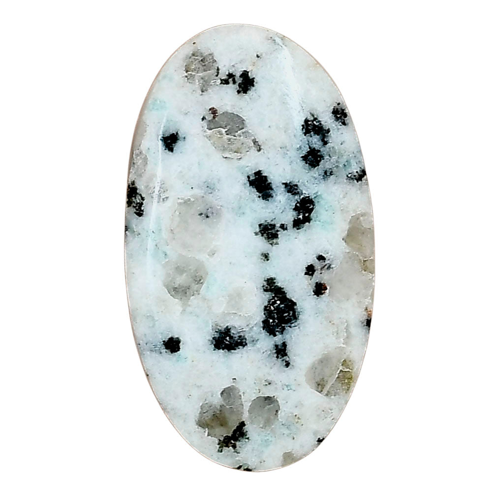 Sesame Jasper 32.54x18.1x5.1 mm Oval Gemstone LS02930-48