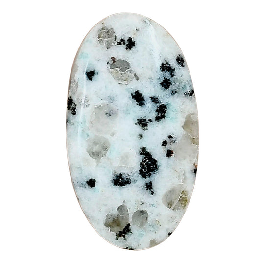 Sesame Jasper 32.54x18.1x5.1 mm Oval Gemstone LS02930-48