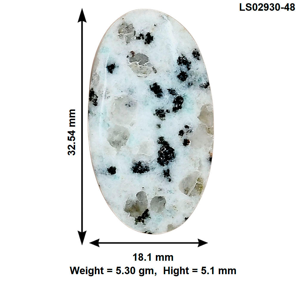 Sesame Jasper 32.54x18.1x5.1 mm Oval Gemstone LS02930-48