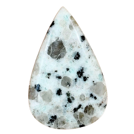 Sesame Jasper 35x22.6x4.8 mm Pear Gemstone LS02931-48