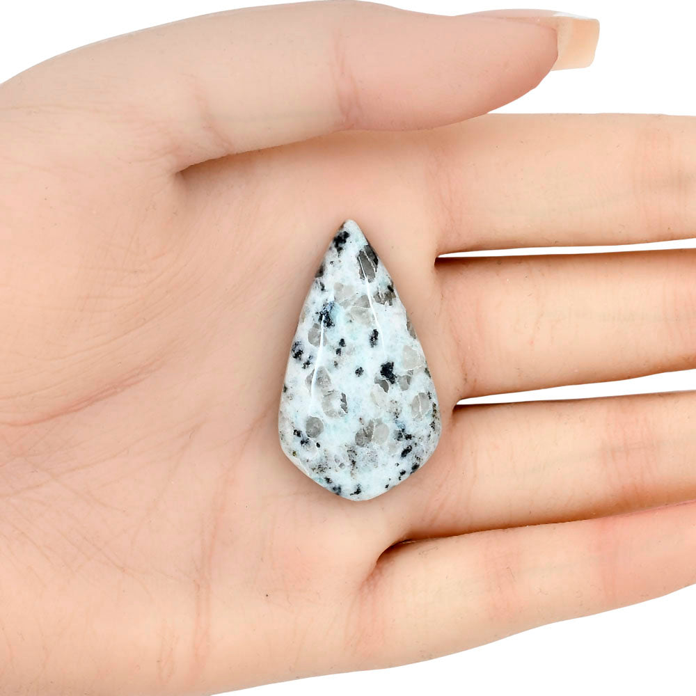 Sesame Jasper 37.18x21.58x7 mm Pear Gemstone LS02932-48