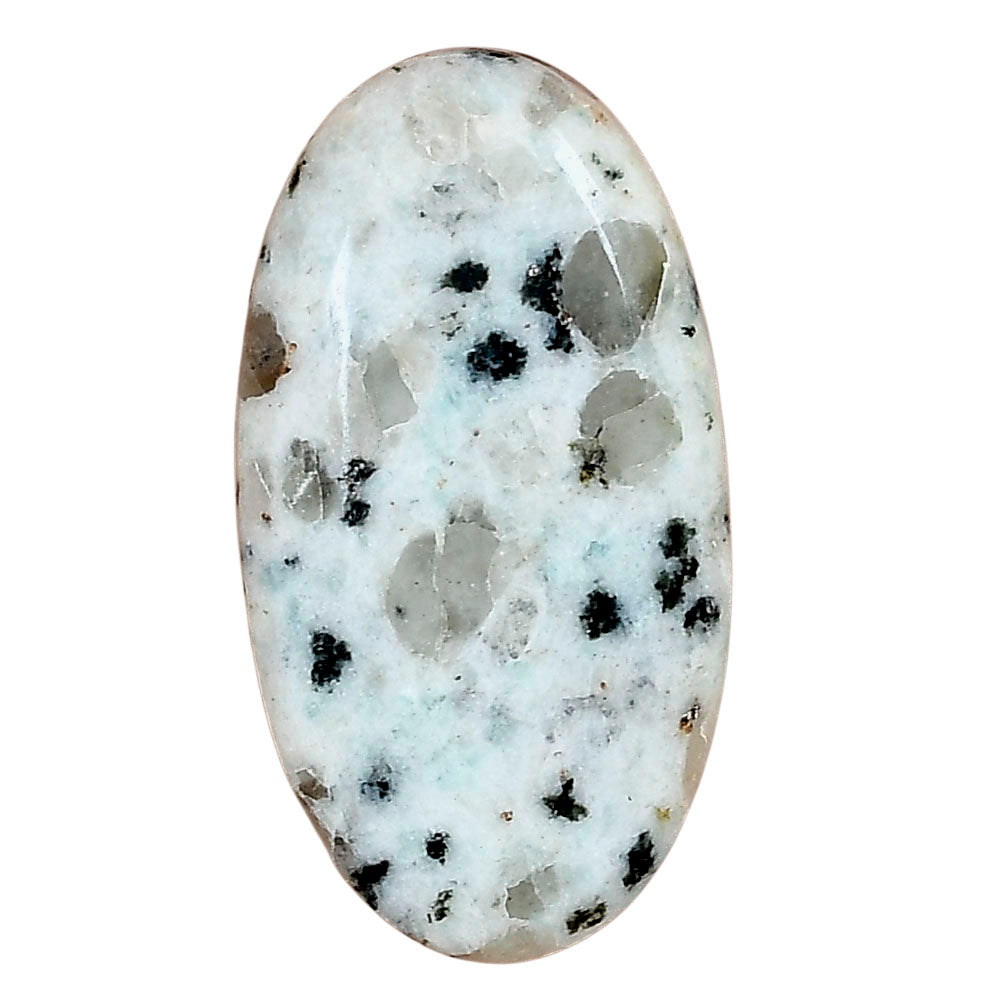 Sesame Jasper 34.85x18.8x6.5 mm Oval Gemstone LS02933-48