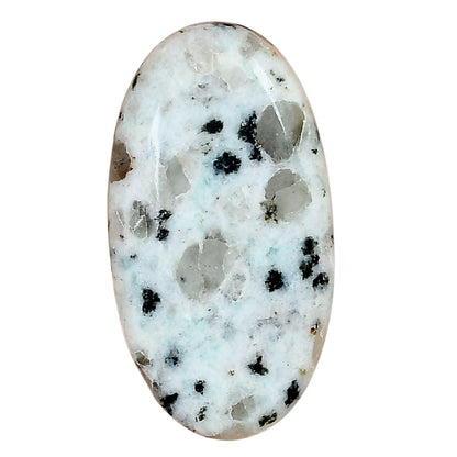 Sesame Jasper 34.85x18.8x6.5 mm Oval Gemstone LS02933-48