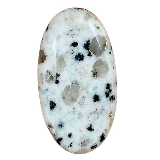 Sesame Jasper 34.85x18.8x6.5 mm Oval Gemstone LS02933-48