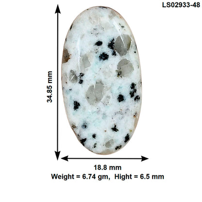 Sesame Jasper 34.85x18.8x6.5 mm Oval Gemstone LS02933-48