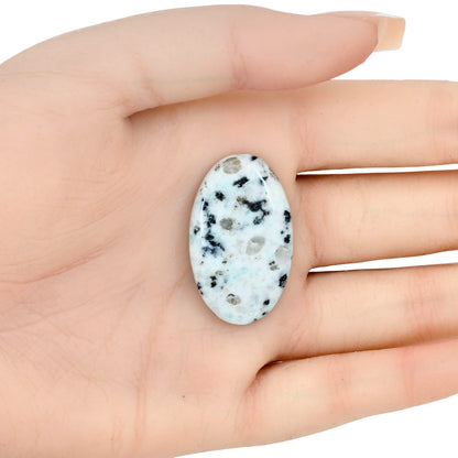 Sesame Jasper 34x20.8x5 mm Oval Gemstone LS02934-48