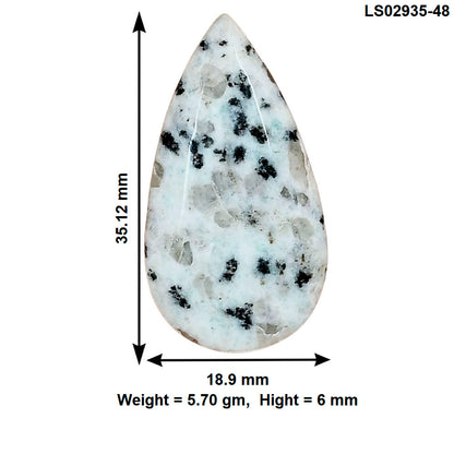 Sesame Jasper 35.12x18.9x6 mm Pear Gemstone LS02935-48