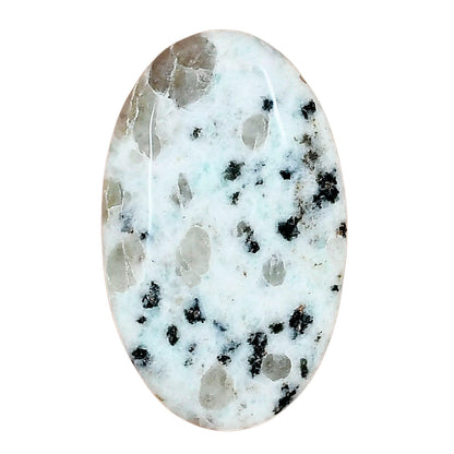 Sesame Jasper 35.12x21.59x5.2 mm Oval Gemstone LS02936-48