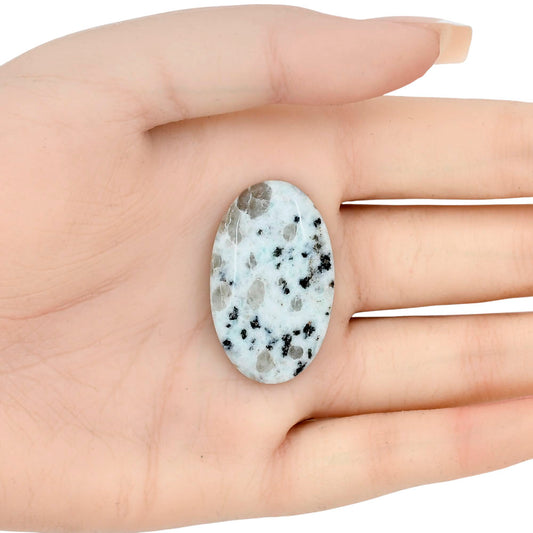 Sesame Jasper 35.12x21.59x5.2 mm Oval Gemstone LS02936-48