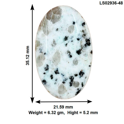 Sesame Jasper 35.12x21.59x5.2 mm Oval Gemstone LS02936-48