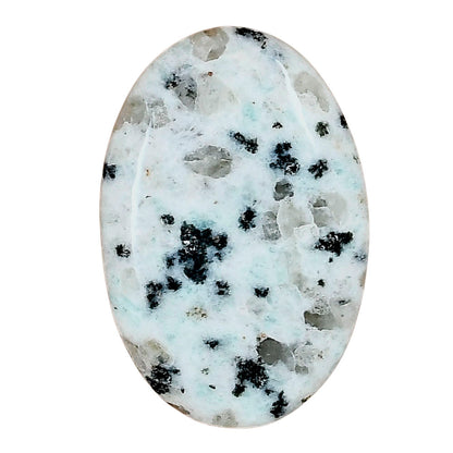 Sesame Jasper 33.68x22.52x5.6 mm Oval Gemstone LS02938-48