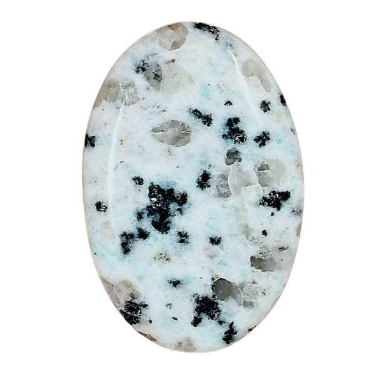 Sesame Jasper 33.68x22.52x5.6 mm Oval Gemstone LS02938-48