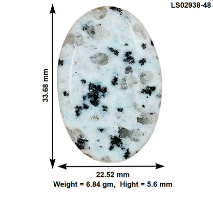 Sesame Jasper 33.68x22.52x5.6 mm Oval Gemstone LS02938-48