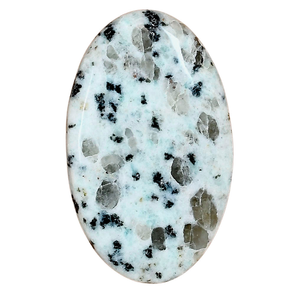 Sesame Jasper 41.92x25.56x5.8 mm Oval Gemstone LS02939-48