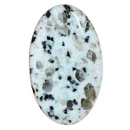 Sesame Jasper 41.92x25.56x5.8 mm Oval Gemstone LS02939-48