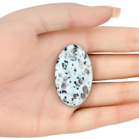 Sesame Jasper 41.92x25.56x5.8 mm Oval Gemstone LS02939-48