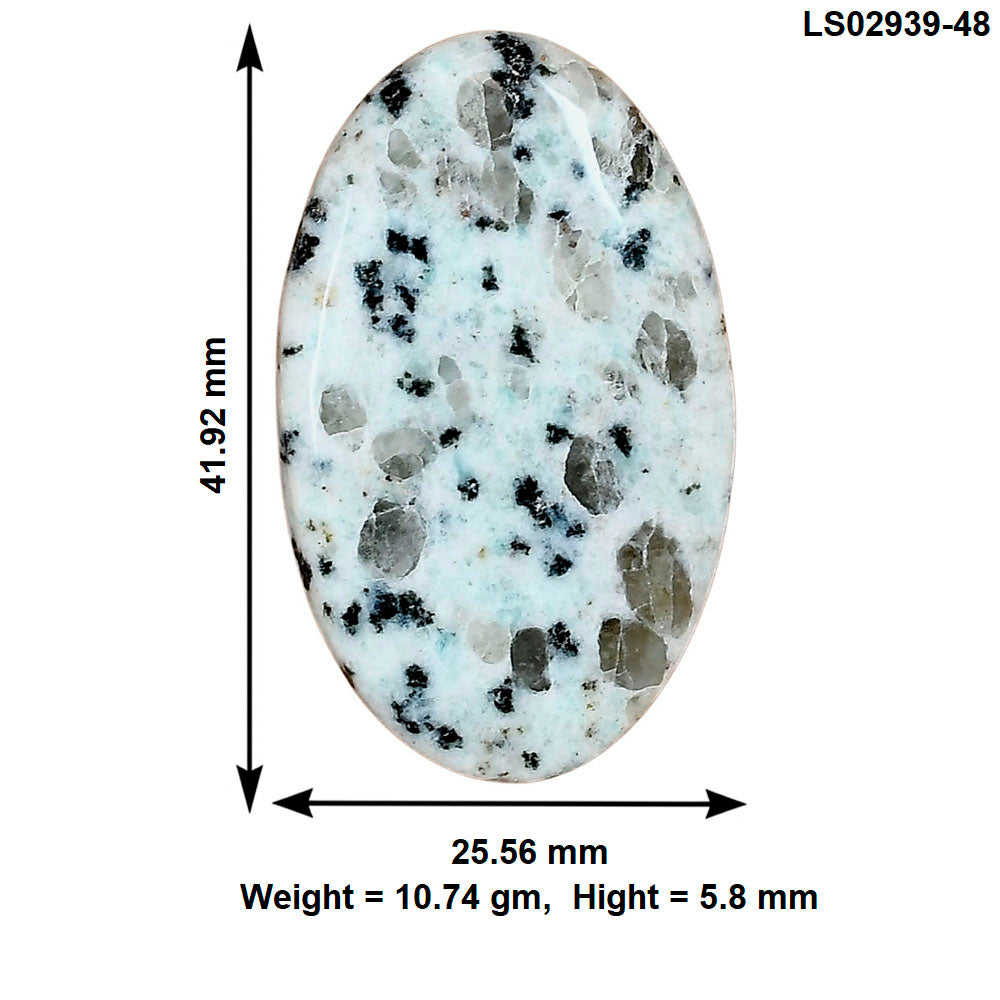 Sesame Jasper 41.92x25.56x5.8 mm Oval Gemstone LS02939-48