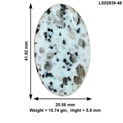 Sesame Jasper 41.92x25.56x5.8 mm Oval Gemstone LS02939-48