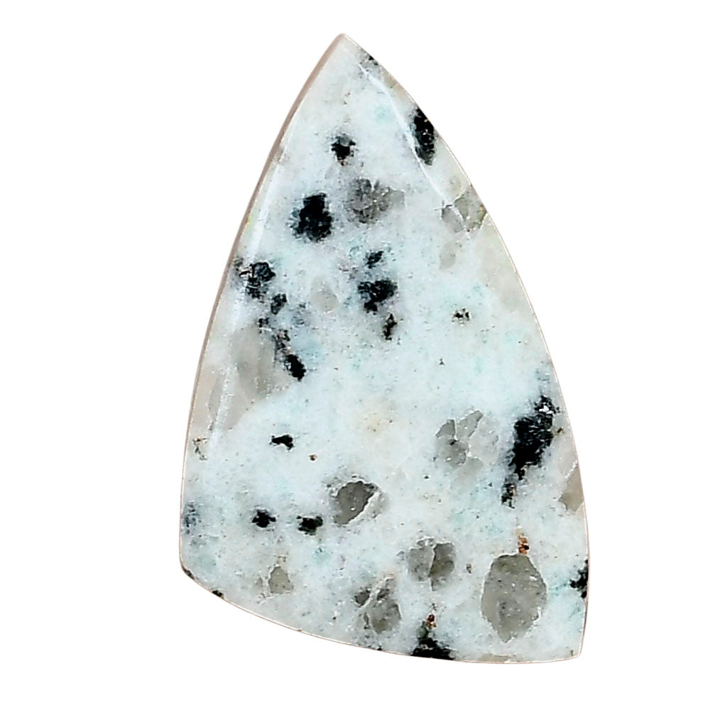 Sesame Jasper 30.87x19.3x5 mm Fancy Gemstone LS02940-48