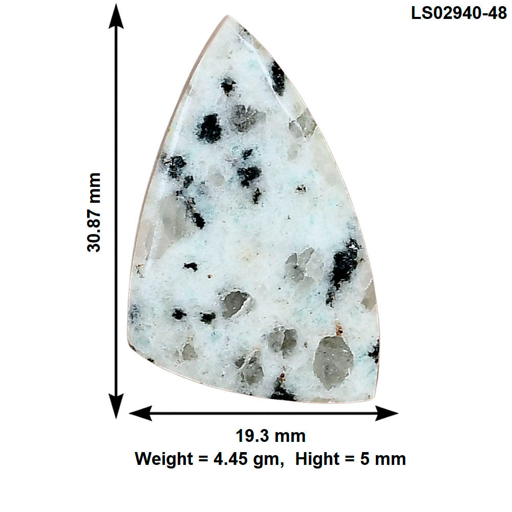 Sesame Jasper 30.87x19.3x5 mm Fancy Gemstone LS02940-48