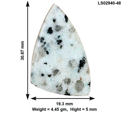 Sesame Jasper 30.87x19.3x5 mm Fancy Gemstone LS02940-48