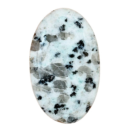 Sesame Jasper 34.44x21.07x5.5 mm Oval Gemstone LS02941-48