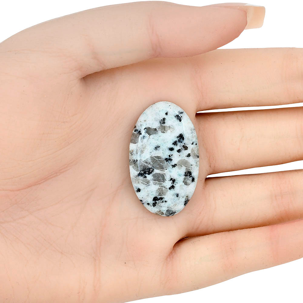 Sesame Jasper 34.44x21.07x5.5 mm Oval Gemstone LS02941-48
