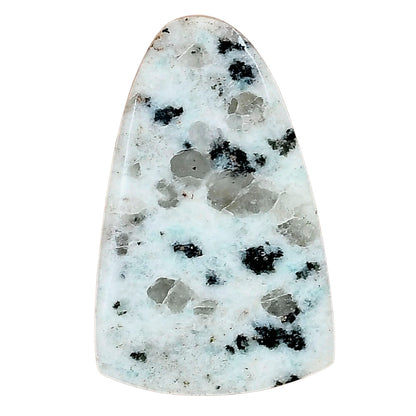 Sesame Jasper 33.15x21.01x4.9 mm Fancy Gemstone LS02942-48