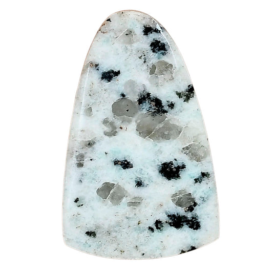 Sesame Jasper 33.15x21.01x4.9 mm Fancy Gemstone LS02942-48