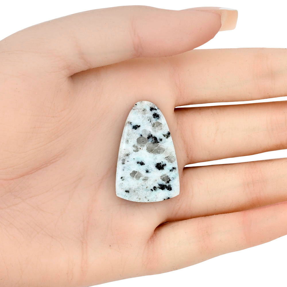 Sesame Jasper 33.15x21.01x4.9 mm Fancy Gemstone LS02942-48