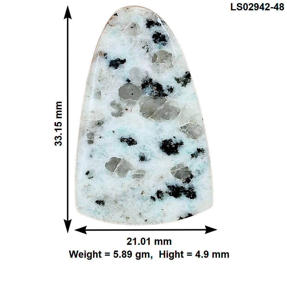 Sesame Jasper 33.15x21.01x4.9 mm Fancy Gemstone LS02942-48