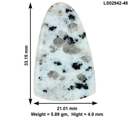 Sesame Jasper 33.15x21.01x4.9 mm Fancy Gemstone LS02942-48