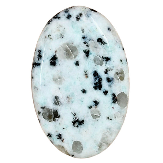 Sesame Jasper 37.27x24.04x5.2 mm Oval Gemstone LS02943-48