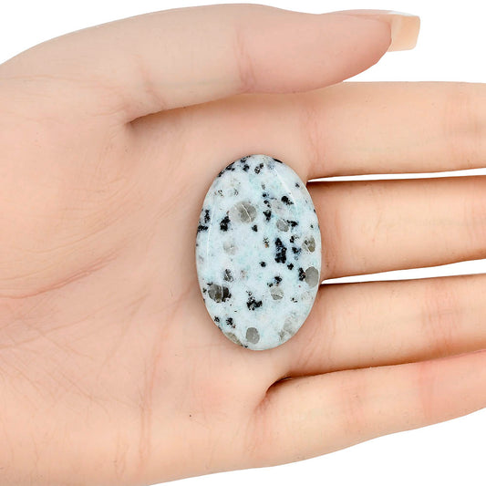 Sesame Jasper 37.27x24.04x5.2 mm Oval Gemstone LS02943-48